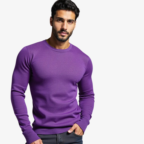 Pull col rond violet élégant